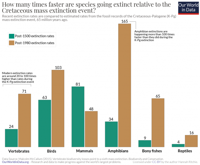 Rate mass extinctions vs. cretaceous mccallum 2015