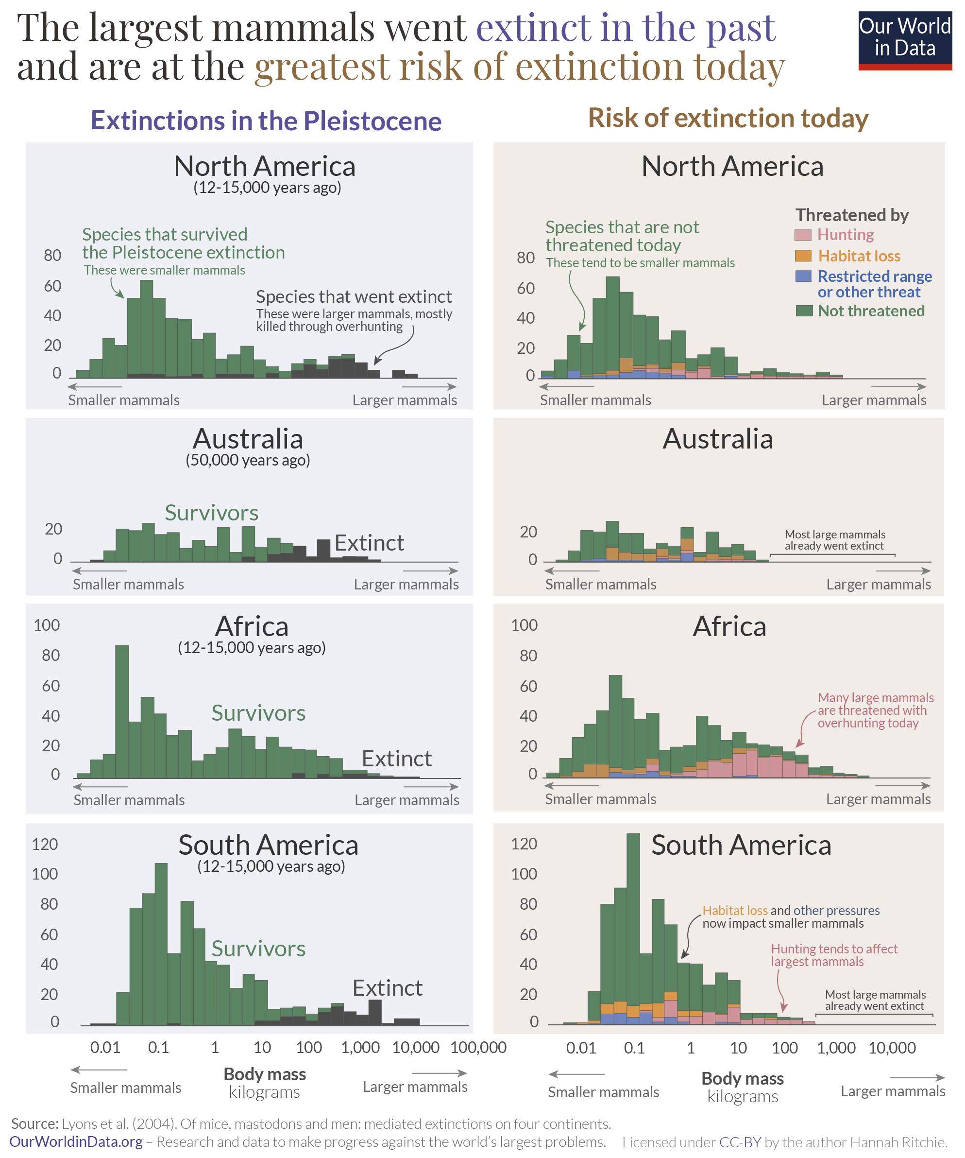 Large mammals at greatest risk of extinction