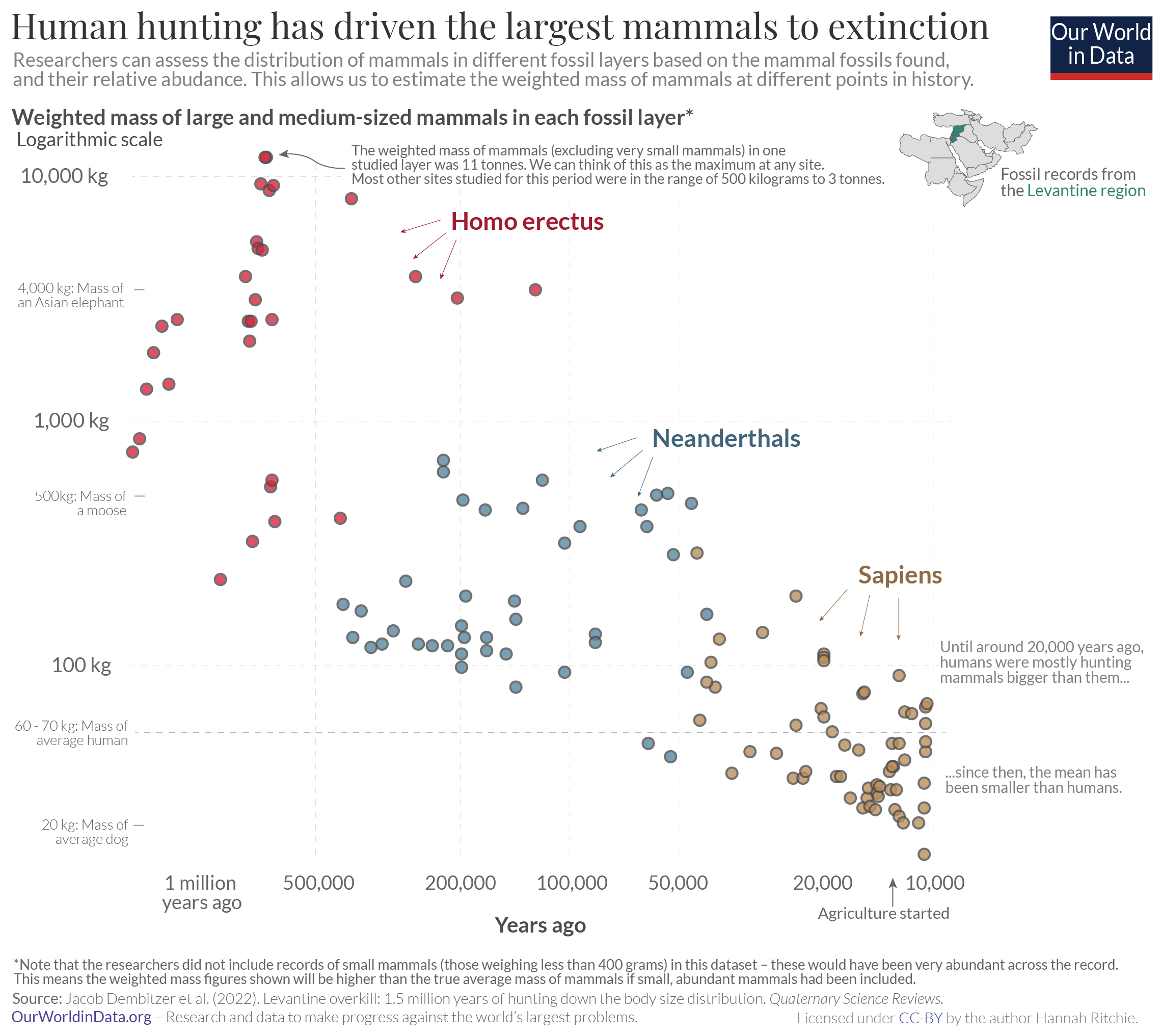 Mammal downsizing